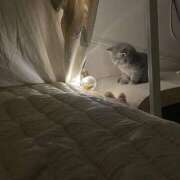 ヒメ日記 2025/02/21 12:04 投稿 ゆき cocoro