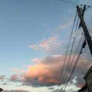 ヒメ日記 2025/04/11 07:43 投稿 ゆき cocoro