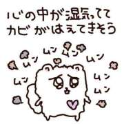 ヒメ日記 2025/05/06 12:51 投稿 レム 千葉美女革命