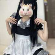 ヒメ日記 2025/05/10 10:02 投稿 レム 千葉美女革命