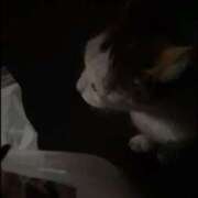 ヒメ日記 2025/05/22 13:45 投稿 レム 千葉美女革命