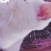 ヒメ日記 2025/05/23 17:06 投稿 レム 千葉美女革命