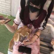 ヒメ日記 2025/06/09 16:21 投稿 レム 千葉美女革命