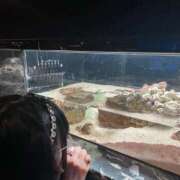 ヒメ日記 2025/07/09 20:07 投稿 レム 千葉美女革命