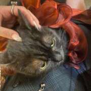 ヒメ日記 2025/08/05 17:01 投稿 レム 千葉美女革命