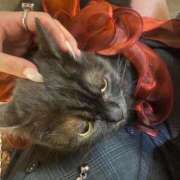 ヒメ日記 2025/10/13 13:31 投稿 レム 千葉美女革命