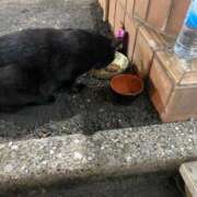 ヒメ日記 2025/10/13 22:21 投稿 レム 千葉美女革命