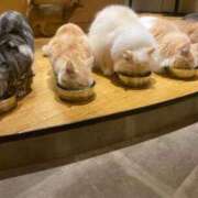 ヒメ日記 2025/10/21 18:37 投稿 レム 千葉美女革命