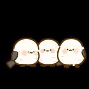 ヒメ日記 2025/12/16 11:43 投稿 深尾 まなみ ５(ファイブ)