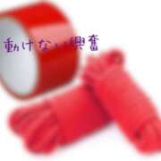 ヒメ日記 2026/02/04 15:21 投稿 深尾 まなみ ５(ファイブ)