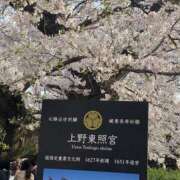 ヒメ日記 2026/04/01 02:45 投稿 深尾 まなみ ５(ファイブ)