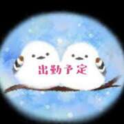 ヒメ日記 2026/05/09 12:48 投稿 深尾 まなみ ５(ファイブ)