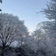 ヒメ日記 2025/01/04 19:00 投稿 あお ハピネス東京 吉原店