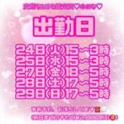 ヒメ日記 2026/03/26 00:47 投稿 ゆめな 変態なんでも鑑定団