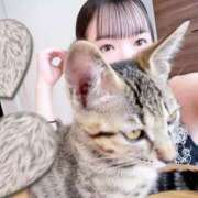 ヒメ日記 2025/06/09 16:32 投稿 みるか SEXIS-セクシーズ-