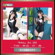 ヒメ日記 2025/03/01 12:42 投稿 かれん 吉原USAGI バニーラバー