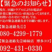 ヒメ日記 2026/04/12 18:49 投稿 鈴木 えま 30代40代50代と遊ぶなら博多人妻専科24時