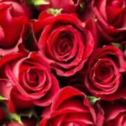 ふうか 【♡♡バースデー月間♡♡】お祝いしてね♡ 東京人妻セレブリティ（ユメオト）