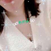 ヒメ日記 2025/02/13 12:47 投稿 堀田 わかば 大奥 難波店