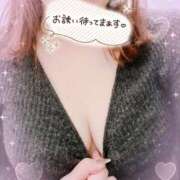 ヒメ日記 2025/03/12 14:09 投稿 堀田 わかば 大奥 難波店