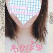 ヒメ日記 2025/03/29 19:02 投稿 堀田 わかば 大奥 難波店