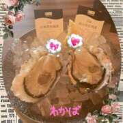 ヒメ日記 2025/04/09 21:30 投稿 堀田 わかば 大奥 難波店