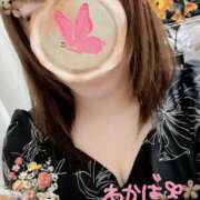 ヒメ日記 2025/04/11 19:18 投稿 堀田 わかば 大奥 難波店