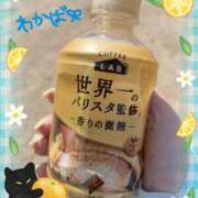 ヒメ日記 2025/04/29 15:30 投稿 堀田 わかば 大奥 難波店