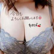 ヒメ日記 2025/05/04 18:16 投稿 堀田 わかば 大奥 難波店