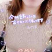 ヒメ日記 2025/05/10 18:05 投稿 堀田 わかば 大奥 難波店