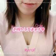 ヒメ日記 2025/05/30 19:09 投稿 堀田 わかば 大奥 難波店