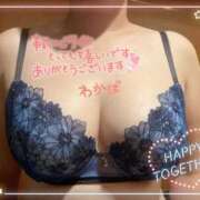 ヒメ日記 2025/10/03 15:11 投稿 堀田 わかば 大奥 難波店