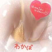 ヒメ日記 2025/10/17 12:07 投稿 堀田 わかば 大奥 難波店