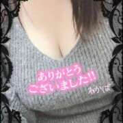 ヒメ日記 2025/11/03 15:59 投稿 堀田 わかば 大奥 難波店