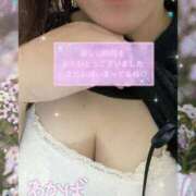 ヒメ日記 2025/11/19 21:00 投稿 堀田 わかば 大奥 難波店