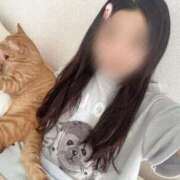 らん おはにょん🐈‍⬛⸒⸒⸒⸒🐾 ルーフ福井