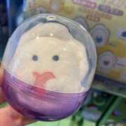 ヒメ日記 2025/02/03 12:08 投稿 りん 僕のぽっちゃり伝説