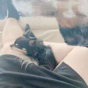 ヒメ日記 2025/04/23 15:45 投稿 りん 僕のぽっちゃり伝説