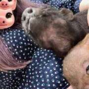 ヒメ日記 2025/06/22 14:15 投稿 りん 僕のぽっちゃり伝説