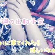 ヒメ日記 2025/01/06 22:06 投稿 玲依-れい【FG系列】 ほんつま千葉店（FG系列）