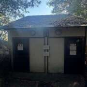 ヒメ日記 2025/03/12 19:49 投稿 りょう 桃李（とうり）