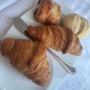 ヒメ日記 2025/03/31 17:14 投稿 りょう 桃李（とうり）