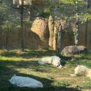 ヒメ日記 2025/08/04 19:16 投稿 りょう 桃李（とうり）