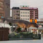 ヒメ日記 2025/10/15 19:44 投稿 りょう 桃李（とうり）