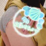 ヒメ日記 2024/12/30 15:30 投稿 なほ 厚木人妻城