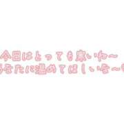 ヒメ日記 2025/03/16 13:48 投稿 なほ 厚木人妻城