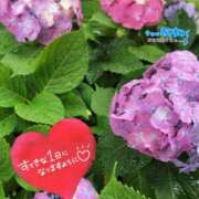 ヒメ日記 2025/06/10 11:38 投稿 なほ 厚木人妻城