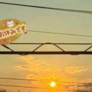 ヒメ日記 2025/08/21 05:42 投稿 なほ 厚木人妻城