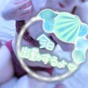 ヒメ日記 2025/09/29 10:12 投稿 なほ 厚木人妻城