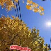 ヒメ日記 2025/11/22 11:38 投稿 なほ 厚木人妻城